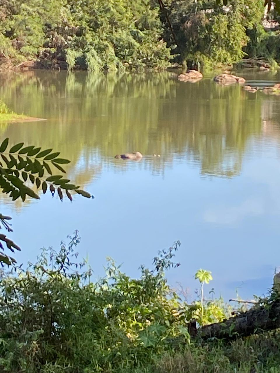 Cadáver é encontrado nas águas do Rio Mucuri em Nanuque-MG