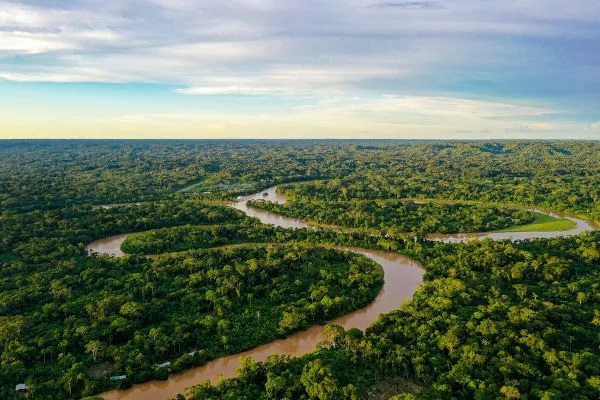Dia da Amazônia: a importância da maior floresta tropical do planeta