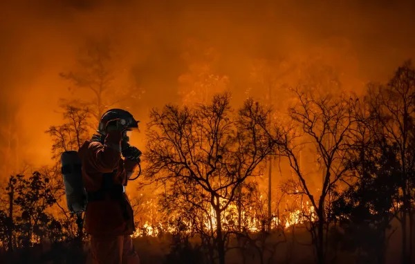 “Passamos da etapa do aquecimento, estamos em uma emergência climática ou de ebulição global”