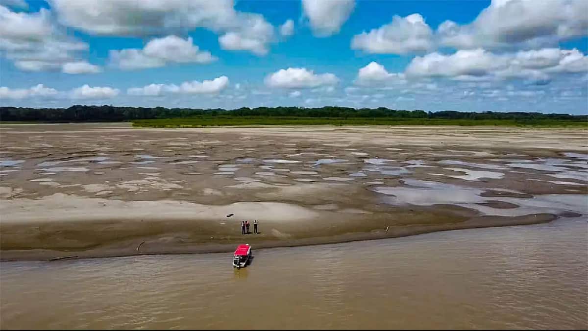 Como a seca na Amazônia pode bagunçar o clima em outras áreas do Brasil