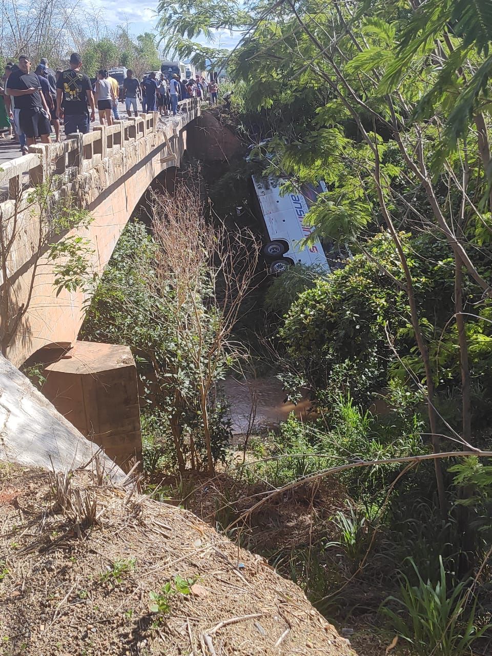 Colisão entre carro e ônibus deixa 8 mortos e 40 feridos em Minas Gerais