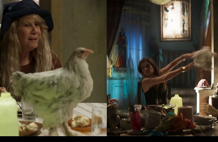 Globo revolta internautas e recebe acusações de maltratar animais em novela
