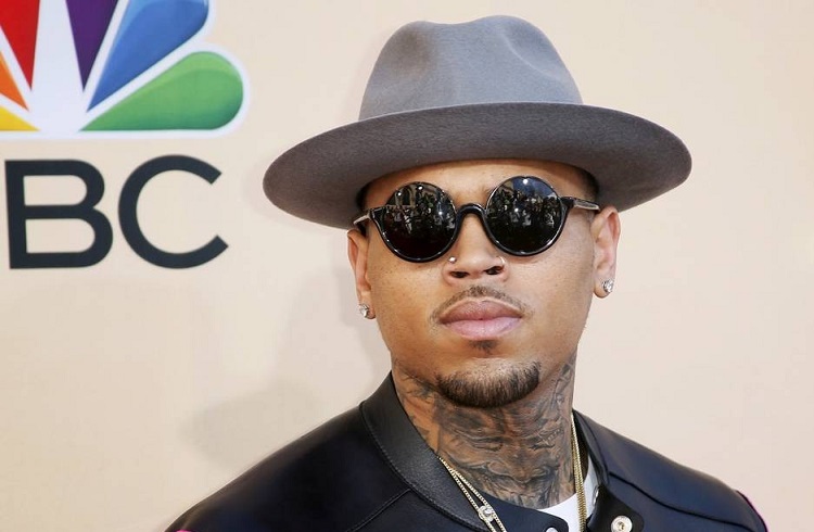 Chris Brown é multado em 30 mil euros por comprar macaco de forma ilegal