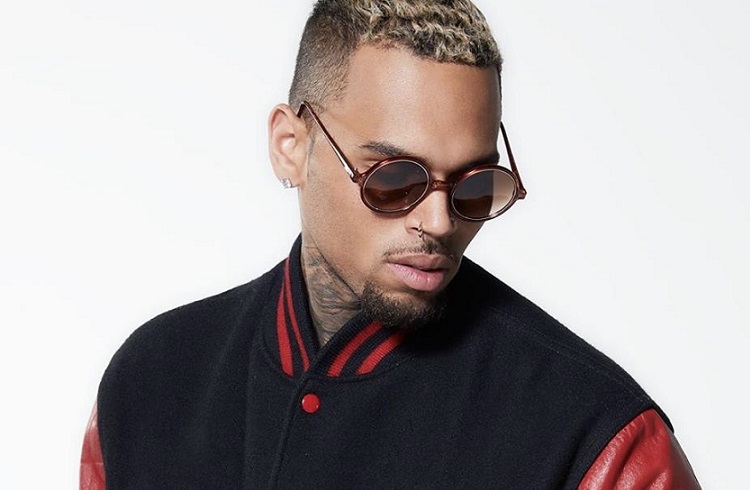 Chris Brown é acusado de crime ambiental por manter macaco em cativeiro